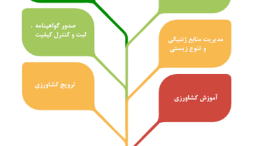 ساختار. ماموریت ها و فرآیندهای اداری